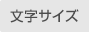 文字の大きさ